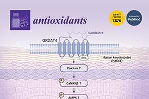 12-Antioxidants-1