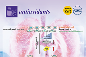 14-Antioxidants-3